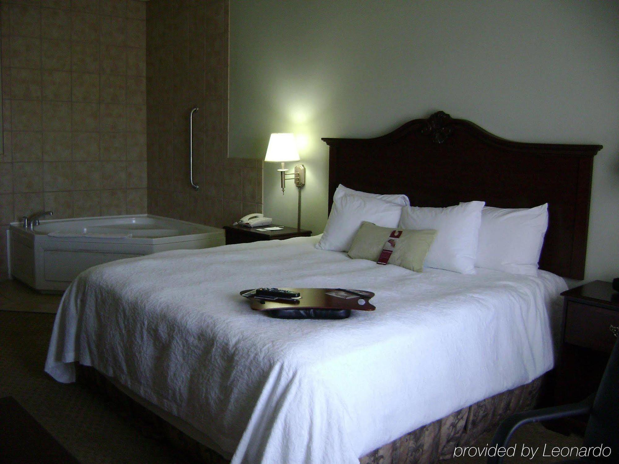 Hampton Inn Fort Stockton Rum bild