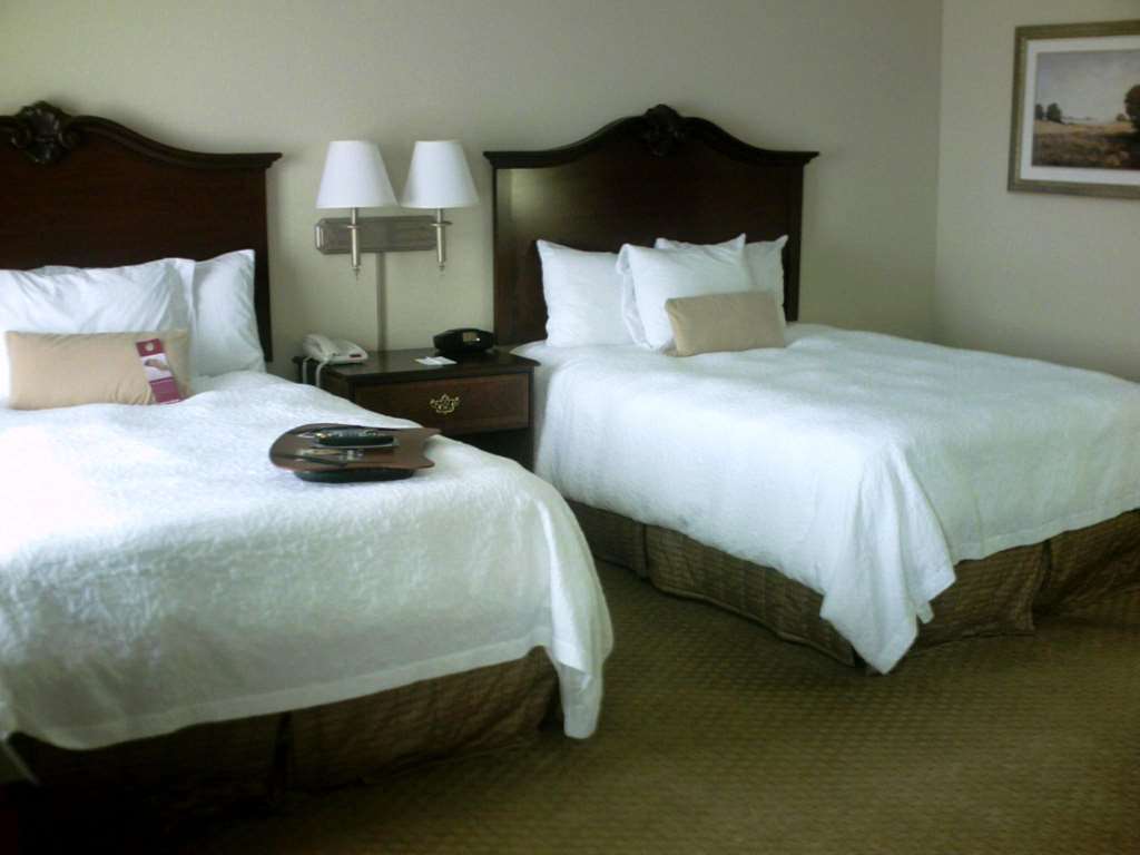 Hampton Inn Fort Stockton Rum bild